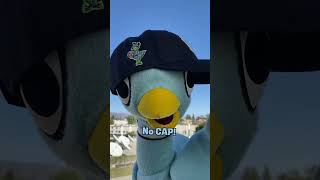 The Pigeon Gen Z Script #pigeon #genz #kidsvideo