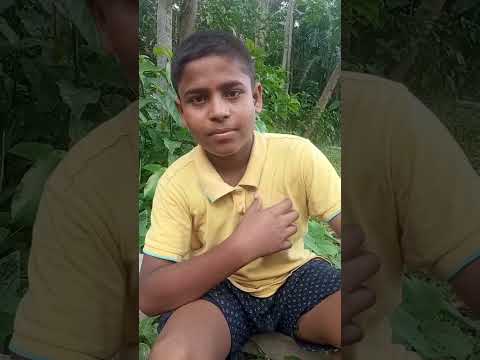bong lucha funny video 🔥 #comedy #fun #funny #dev #trending #bongluchcha