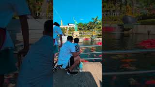 Good Times When I'm Offline #goodtimes #offlinemode #familytime #familybond #travel #shortsfeed #fyp