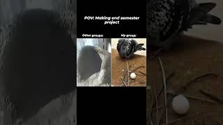 me during projects #coding #memes #funny #groupwork #computerscience