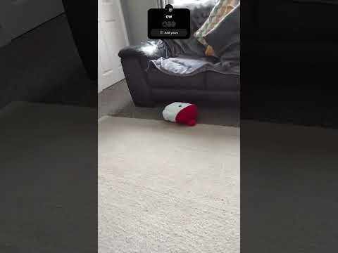 ow