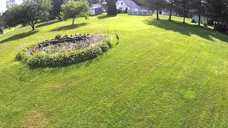 Blue Heron Drone Video