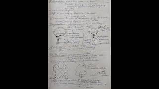 Brain explanation #SciNotesHub #ScienceMadeEasy #LearnWithMe #ScienceForAll #SmartStudyTips #notes
