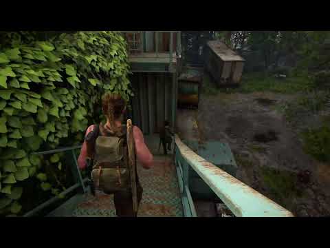 A Marine plays TLOU 2