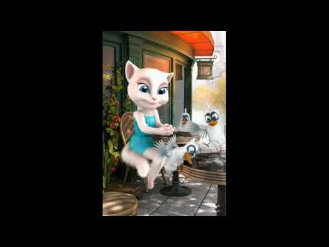 viral enjela ngasi makan burung⁉️