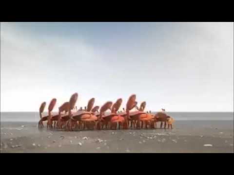 Crabs vs Seagull