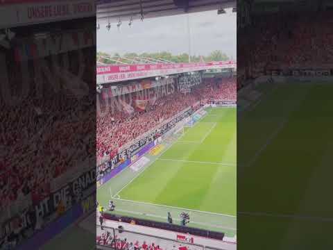 Union Berlin Support gegen RB Leipzig #unionberlin #bundesliga #short