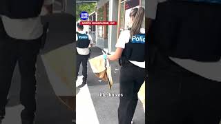 Man arrested over 3D printed guns | 9 News Australia