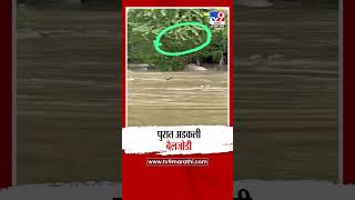 Chhatrapati Sambhajinagar | जिल्ह्यातील रांजणगाव पुरी या गावात पुराच्या पाण्यात दोन बैल अडकले