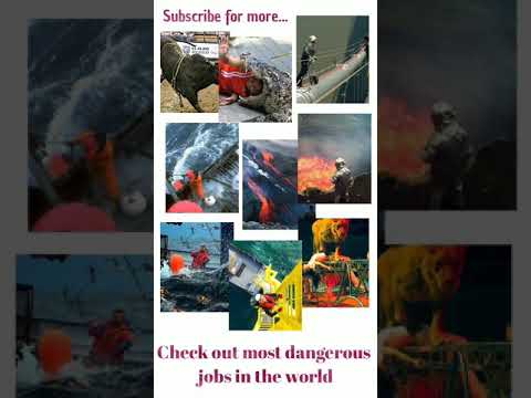 Most Dangerous Jobs In The World | Bright Source #shorts #job #dangerous