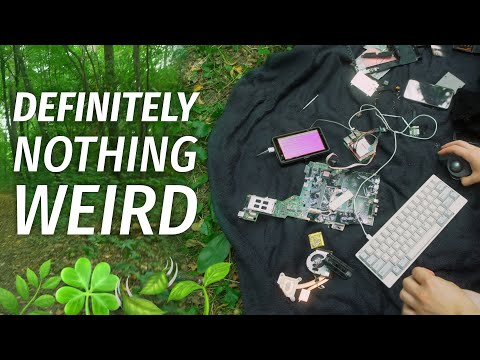 Installing Coreboot on my Thinkpad T430... In a forest