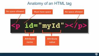 Anatomy Of HTML TAG