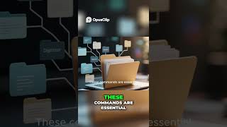 Top 10 Linux Commands Every Cybersecurity Pro Needs