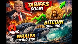 Bitcoin Soars Amid Tariff Panic | Crypto Whales Buying Big!