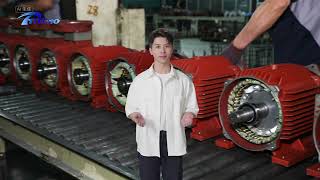 Engineering Excellence: A Detailed Look into Titecho's Three-Phase AC Motor Manufacturing Facility
