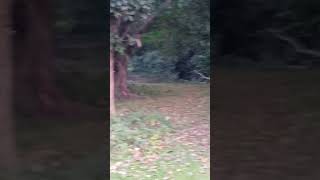 #nigh##t#horror#short#viral video#horror music#tech barmon #like#