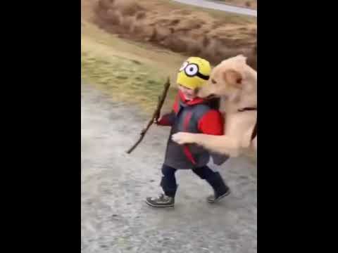 Dog teaches kid making it to the Super Bowl ain't easy