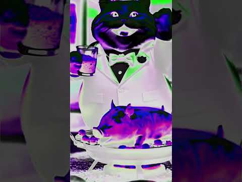 Funny Cat: Special Day (Inspired by Intro Logo Effects Sponsored by Preview 2)