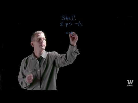 robert dimpsey   the shell pt1
