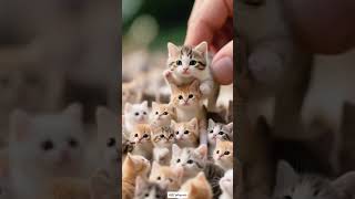 AIGC #ai #edit #aigc #kitten #3d #ie3d #cat #cutecat #nttpride #cute
