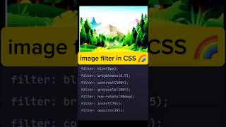 Image Filter in CSS|All Image Filters in CSS, #htmlfullcourse #html #javascript #coding #programming