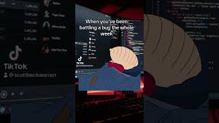 Have a great weekend all!  #techtok #webdeveloper #programminghumor #developerjokes