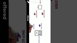 DHCP 🌐server Works on DORA🛜 Process 😲 || Shiva's Networking || #networkbasics #shorts