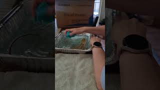 bath time #beardeddragon #lizardlife #beardeddragonlife #kidspets