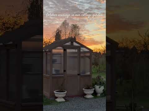 What is your favorite season, and why? 🍂🌸☀️❄️ #fallcolors #cottagegarden #fypシ゚viral