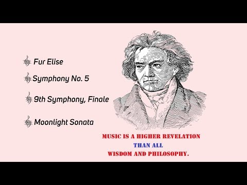 The Best of Beethoven💛Classical Music Beethoven 🆓Copyright Free Music Beethoven