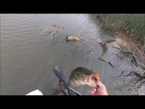 AUG CHUNKS