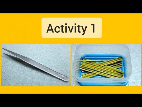 Home Activities for Kids