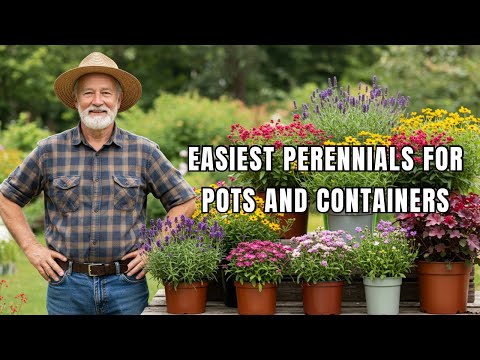 Turn Your Small Space With This Pots/Container DIY Hack:  Lazy Gardener's Dream