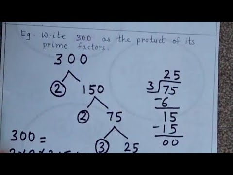 How to find prime factors (Factor tree method)