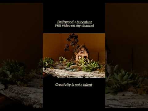 Driftwood Decor Idea | Cozy Mini House for Succulents | Easy Tabletop Decoration for Home