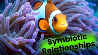 Exploring Marine Symbiotic Relationships: A Deep Dive -