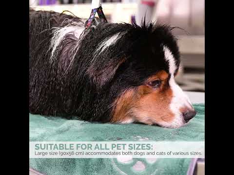 Why Towel Choice Matters for Faster Drying & Healthier Coats 🐶