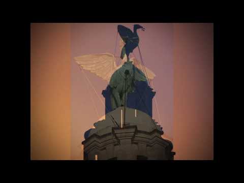 Mike's Liver Birds ~ some fly, some don't