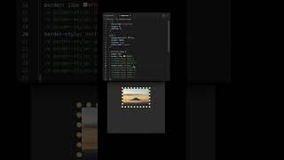 border styles #html #cssborder #cssstyles #webdesign #webdev #webcoding #csscoding #webdevelopment
