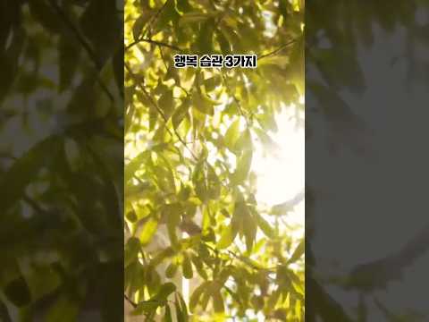 뇌 과학이 말하는 행복 습관 3가지 #행복습관 #뇌과학 #힐링푸드스토리 #행복호르몬 #긍정적인삶