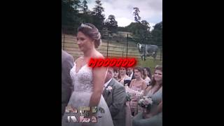 cow tryna warn them ☠️😭🙏🏿 | #shorts #wedding #cow #cowobjectstowedding #memes #funny #edit