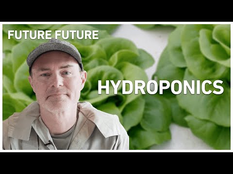 Hydroponics