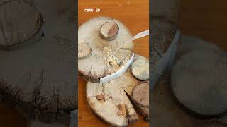 DIY Wood Repair Tips! 🛠️ Use glue and wood shavings to mend cracks.✨#superglue #woodworking #shorts