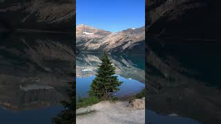 WONDER NATURE #moresubscribers2025​ #moreviews2025​ #GrowYourChannel​