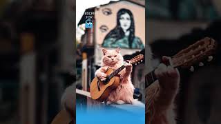 🎵🐱 Meow Song – The Ultimate Cat Jam! 😻🎶 #shorts #funny #catsong #meow