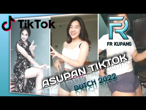 FR - Asupan TIKTOK (Dutch 2022) - Official Audio