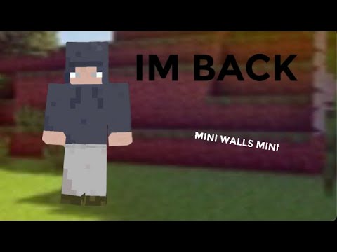 I’M BACK (mini walls mini)