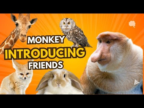 Kids Learning Cartoon