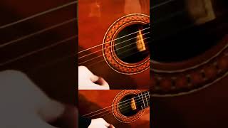 BULERİAS GİTAR MAKAMI İlker ARSLAN