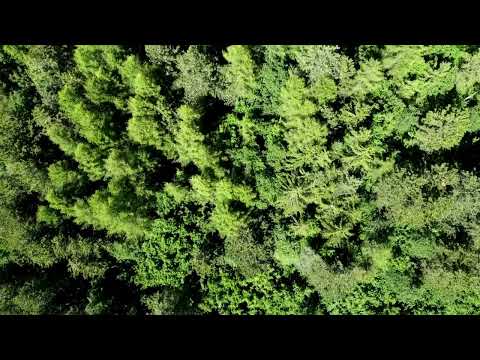 Hook Life Teaser 2024
